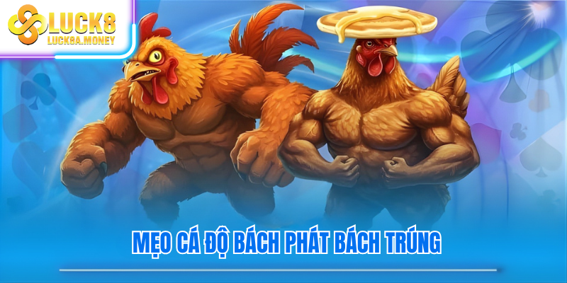 Mẹo cá độ bách phát bách trúng